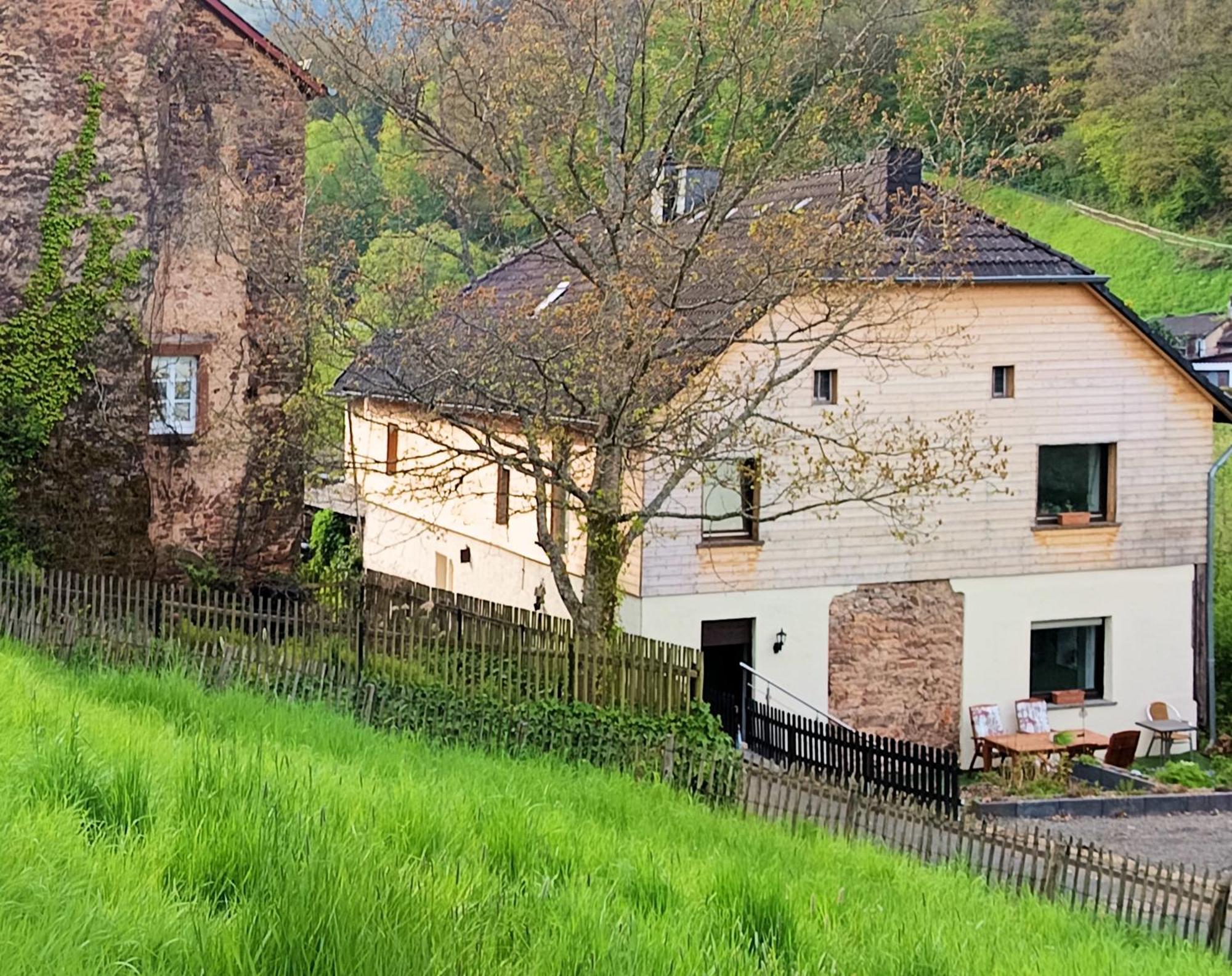Haus Am Burgring Apartment Murlenbach